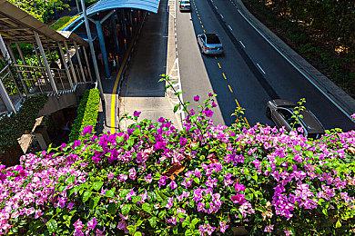 《原神》剧情视频「秋津羽戏」讲述人与妖的友情